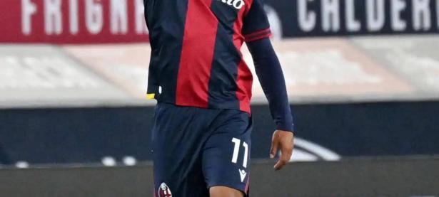 米兰体育教练-那不勒斯客场告捷，升至积分榜前列的简单介绍