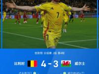 米兰体育入口-挪威国家队闯入欧预赛淘汰赛