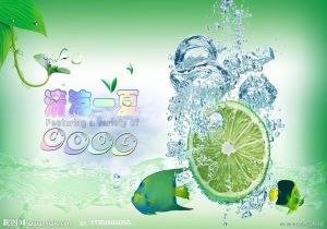 法国主场战胜波黑，实现连胜领跑小组