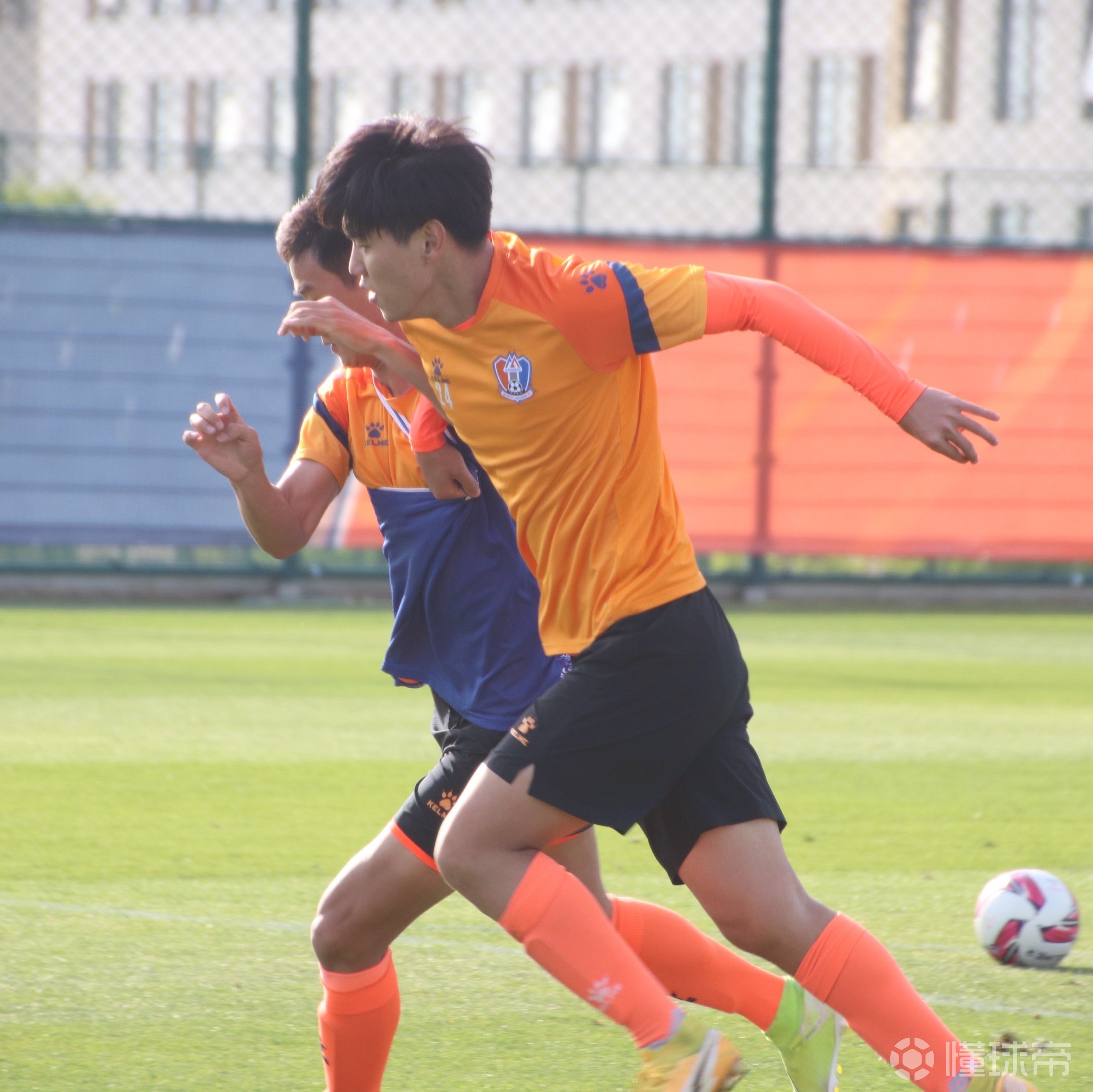 关于布里斯班主教练拼搏本土球斗的信息 关于布里斯班主教练拼搏本土球斗的信息