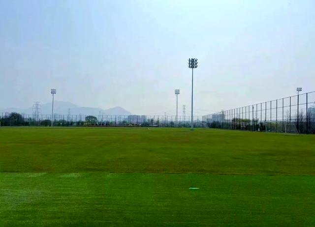 关于足球赛场上展现精湛技艺，赛况引人入胜的信息