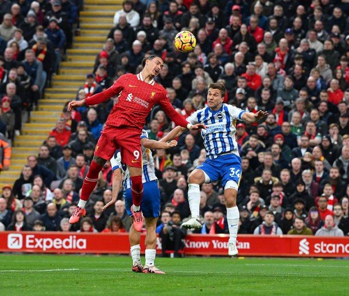 关于利物浦客场击败布莱顿，保住不败纪录继续领跑的信息